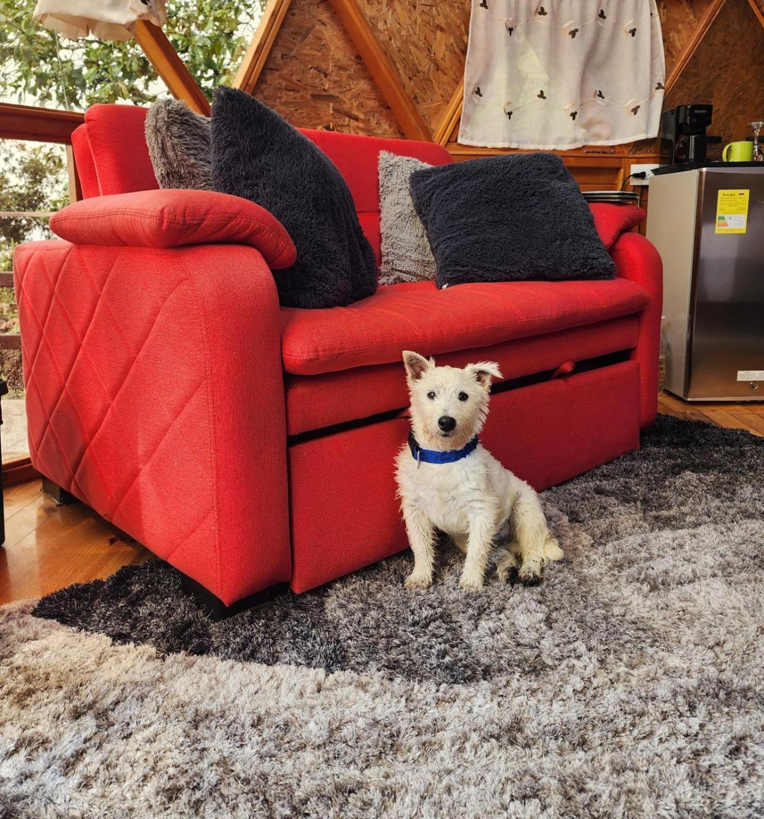 Glamping Sede Campestre Mirador De Pueblo Viejo Otel Guatavita Dış mekan fotoğraf